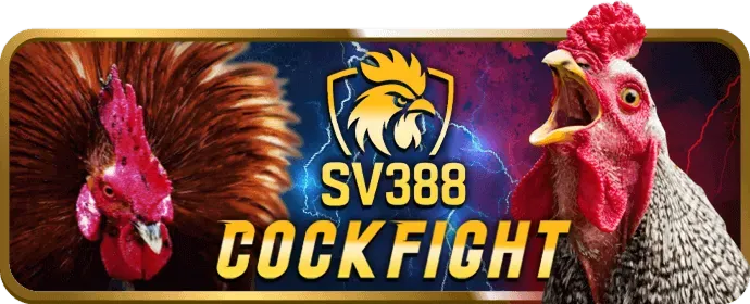 Khách hàng 123win chính thức hài lòng với dịch vụ và sản phẩm